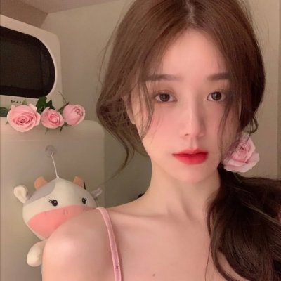 双子谜情 封面