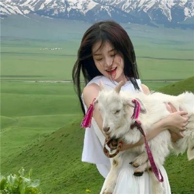 虎将战边城 封面